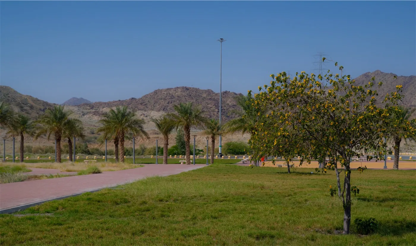 DiscoverMakkah